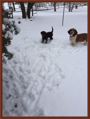 Autumn and Gretchen in Snow
